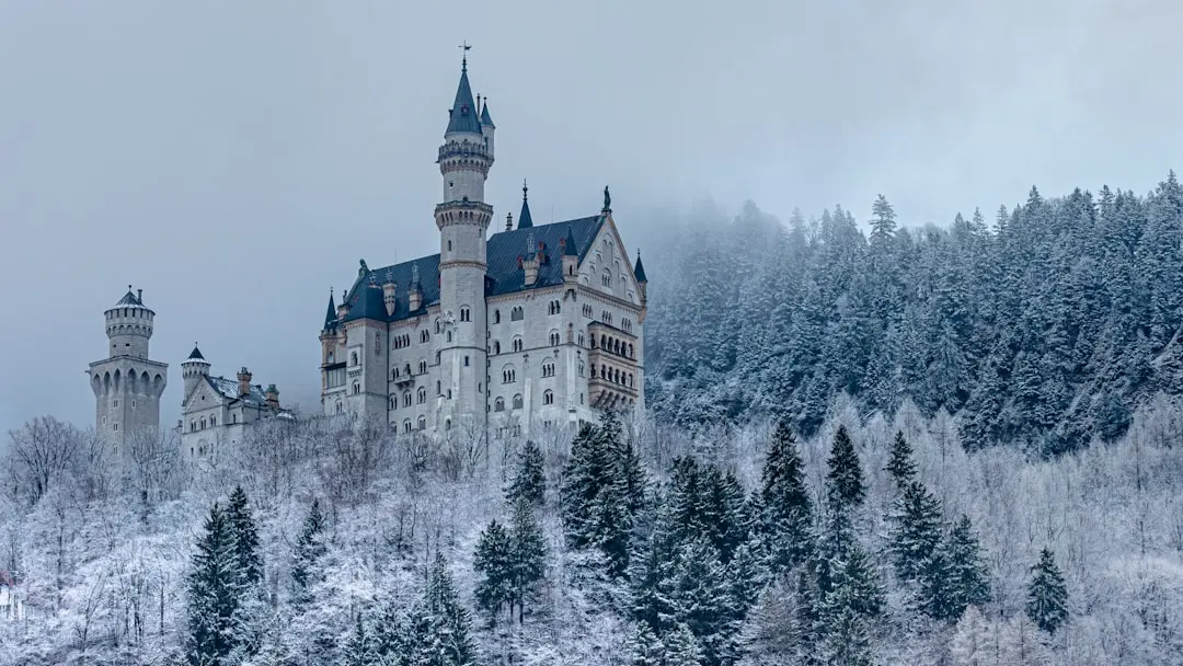 Disney Adventure World Reine des Neiges : tout savoir avant 2026